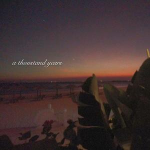 国产成人网站精品APP
